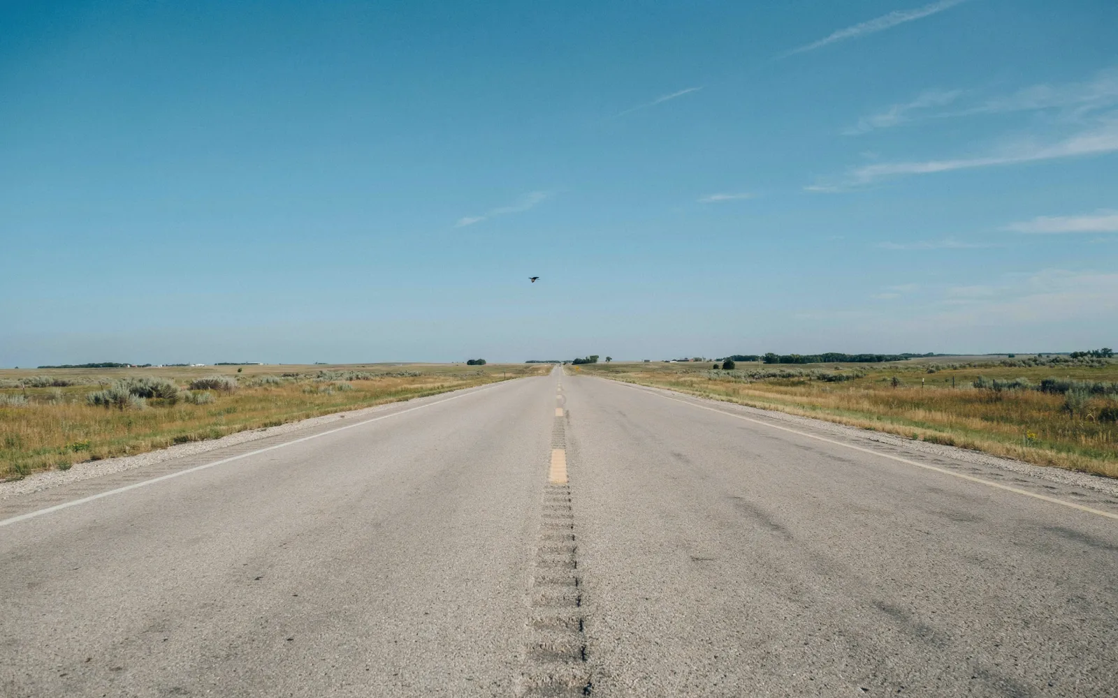 Nevada Department of Transportation Warns Candidates: Political Signs Forbidden on State Highway Right-of-Way